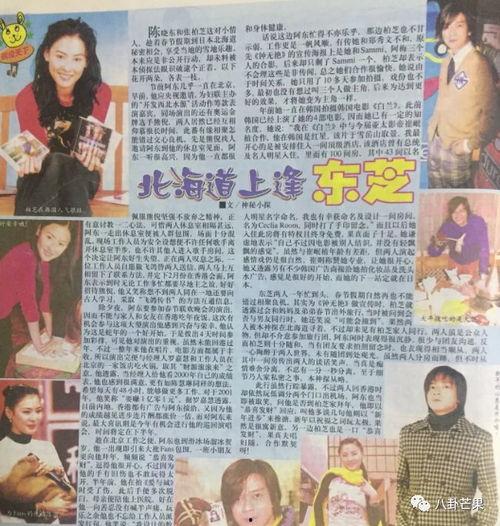 娱乐圈吃瓜爆料小说推荐